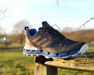 Adidas Terrex Fast GTX Surround shoes