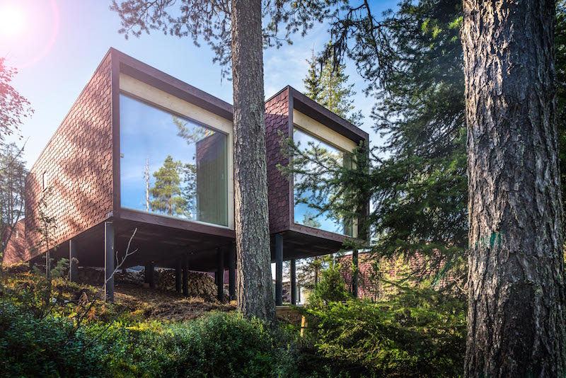 Arctic Tree House Hotel in autumn