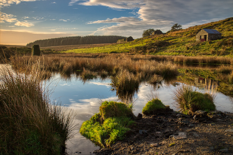 Bodmin Moor view walks in Cornwall