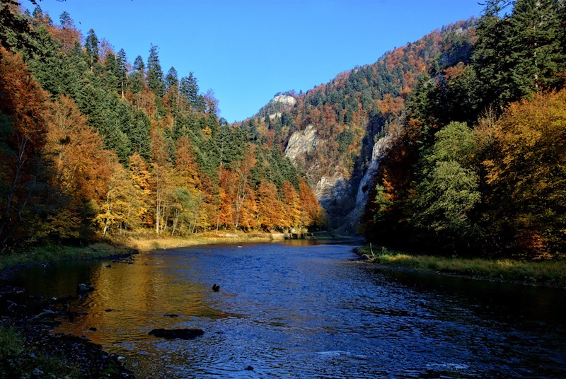 dunajec river in poland, best things to do in Poland