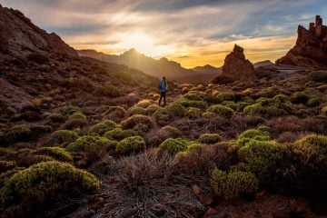 Beautiful rocky landscape with green bushes in Teide park on Tenerife island on the sunset