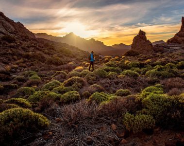 Beautiful rocky landscape with green bushes in Teide park on Tenerife island on the sunset