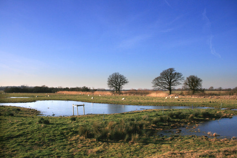 A view from the Wetlands watch at the Otmoor Nature reserve, best cotswolds walks