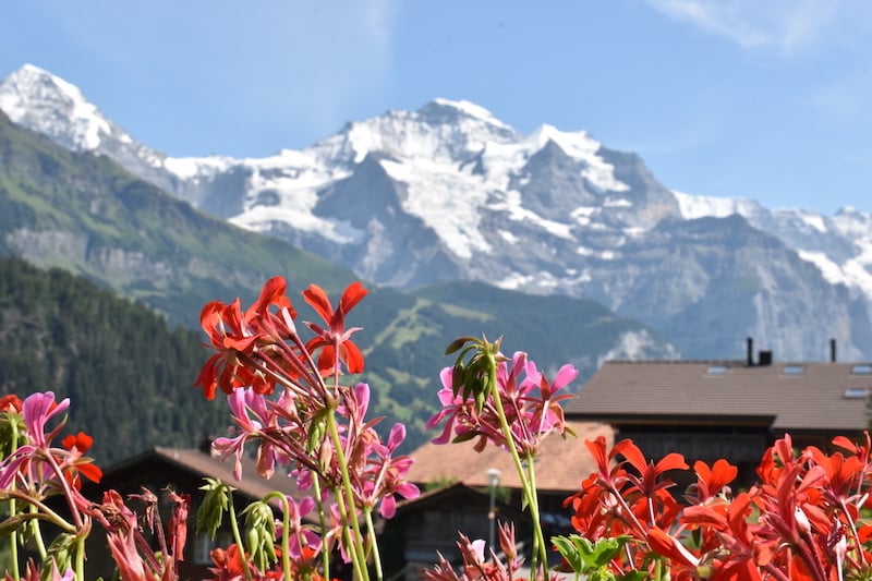 Snowy duo of Jungfrau (4,158m) and Mönch (4,107m) from Isenfluh