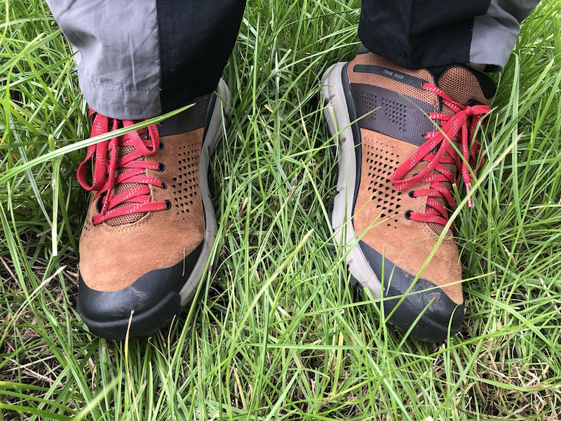 Danner Trail 2650 shoes