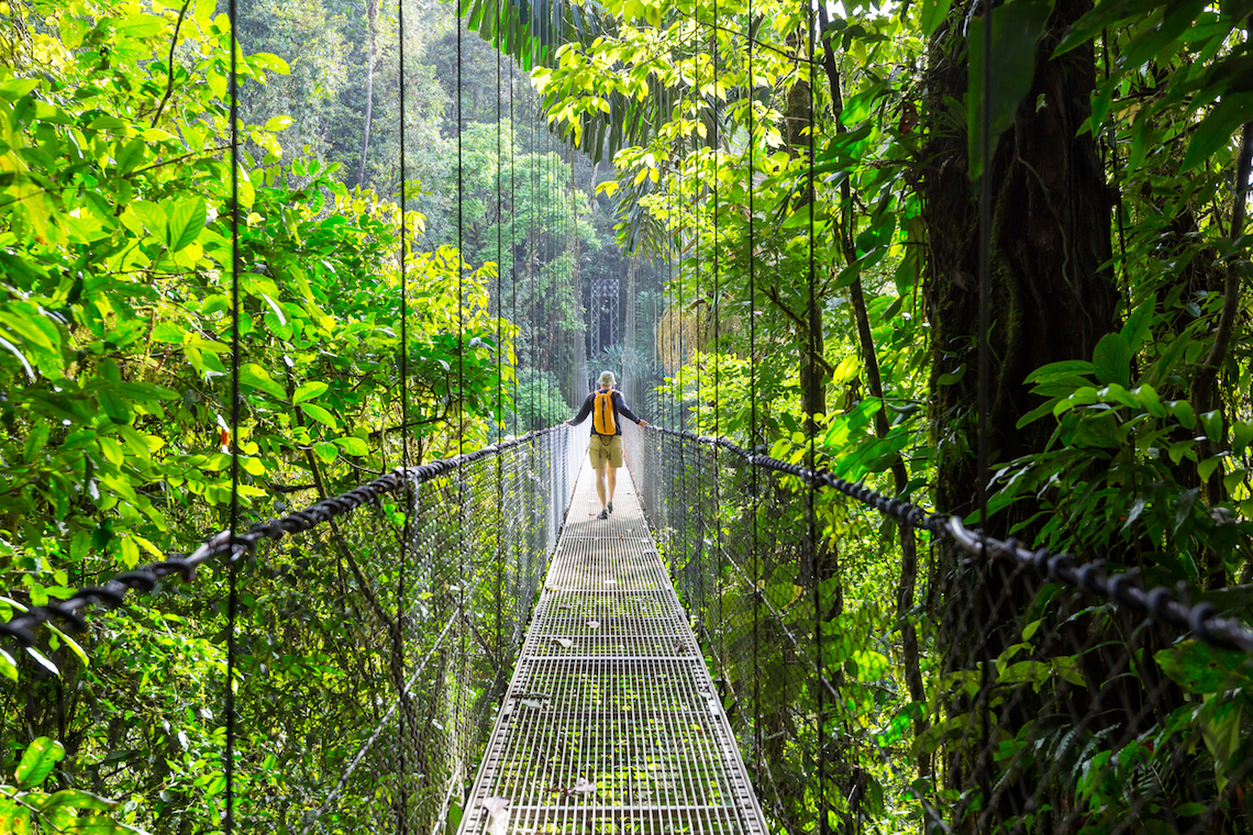 Costa Rica Cloud Forest reserve best tours to go on in 2020