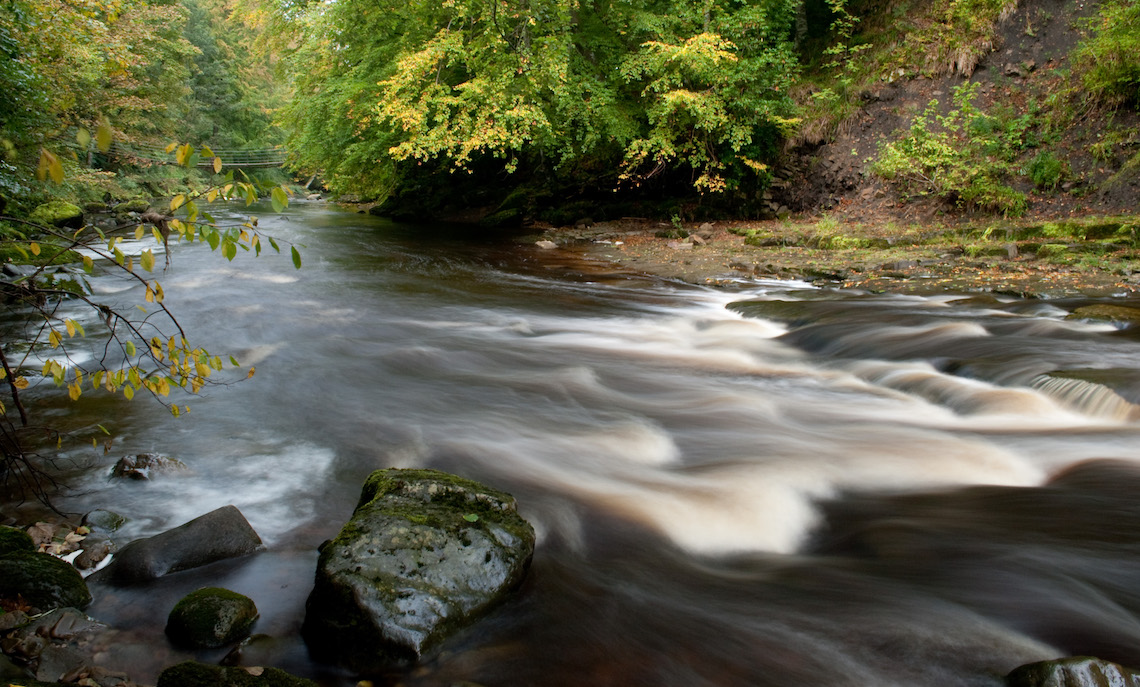 River Allen rapids