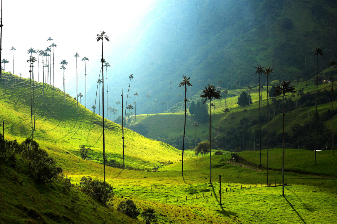Undiscovered colombia valle de cocora best off-the-beaten-path adventures
