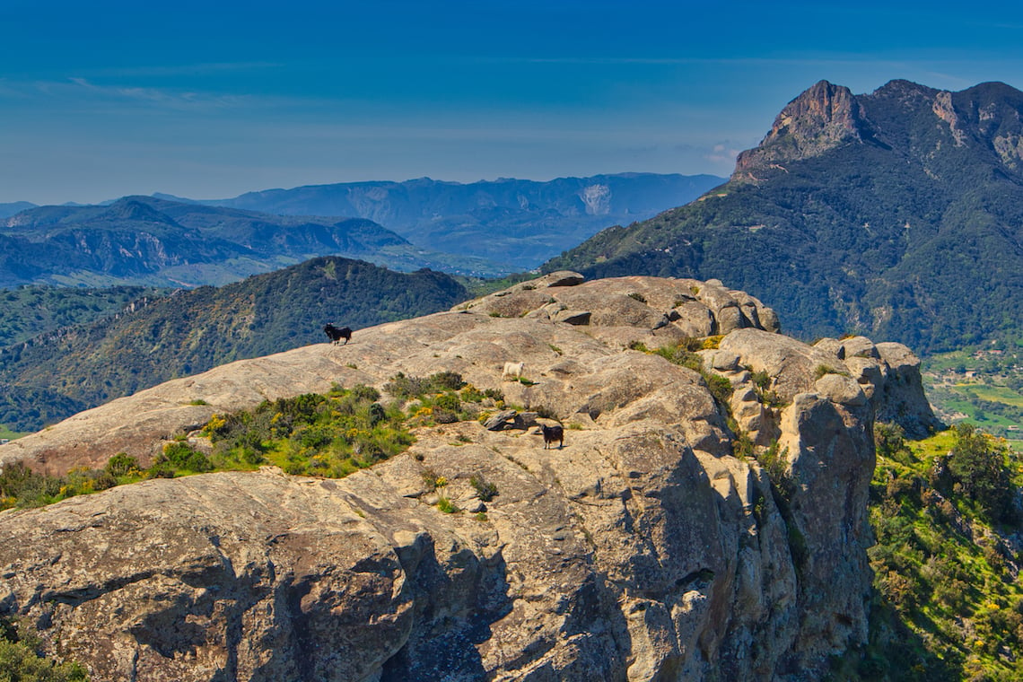 Aspromonte National Park - best adventures in Southern Italy 