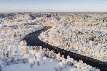 Forest hiking in Gauja National Park best things to do in Latvia