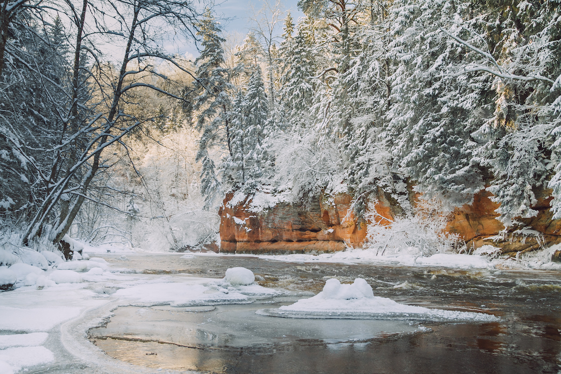 Forest hiking in Gauja National Park