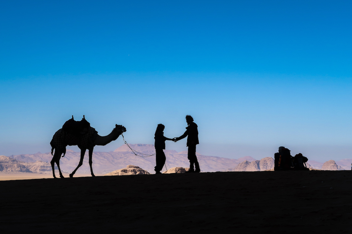 camels in silhouette on the jordan trail