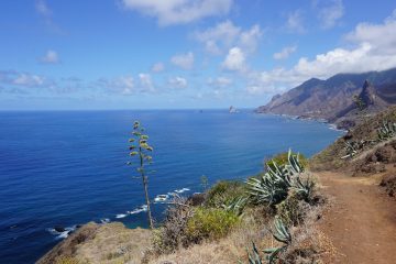 Tenerife