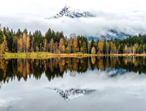 3 mountains in Kitzbühel that make the ultimate summer adventure