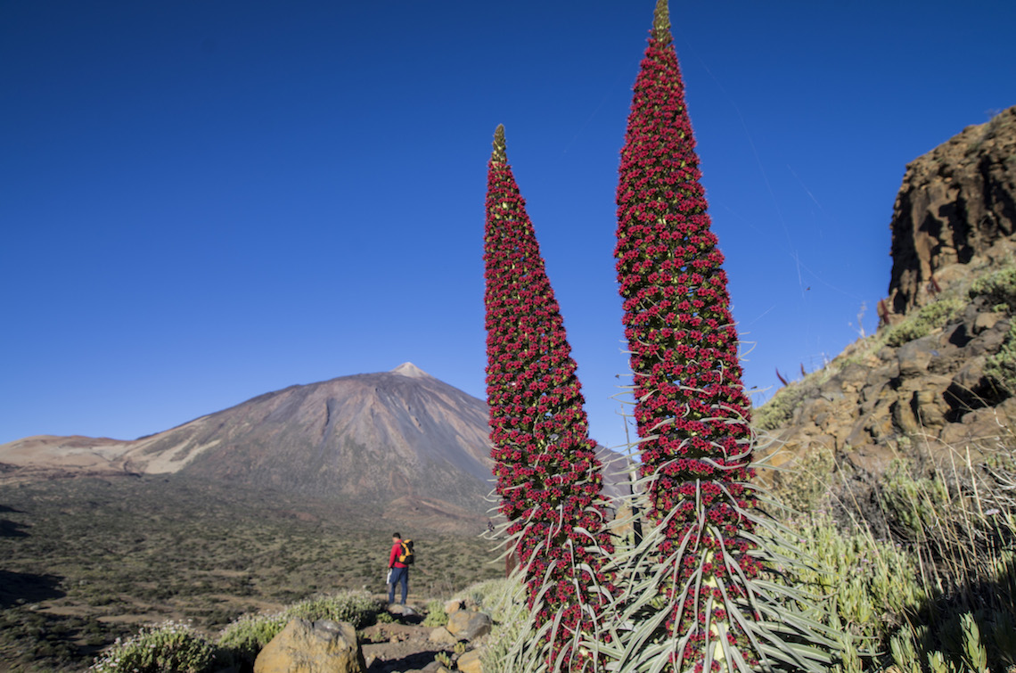 La Fortaleza best hikes in Tenerife