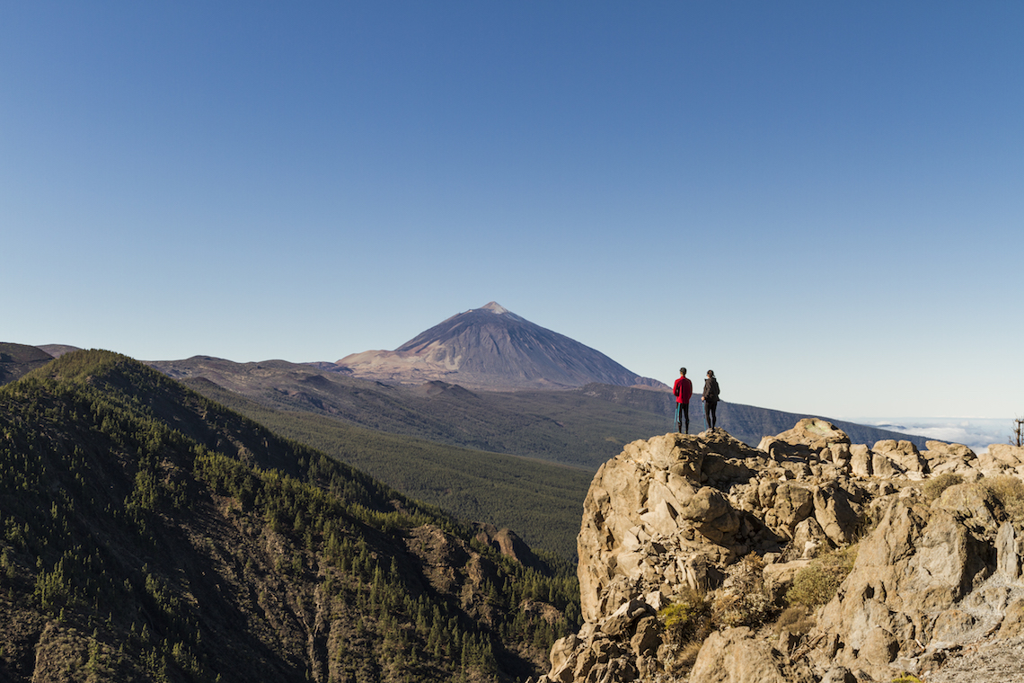 View over mount teide
