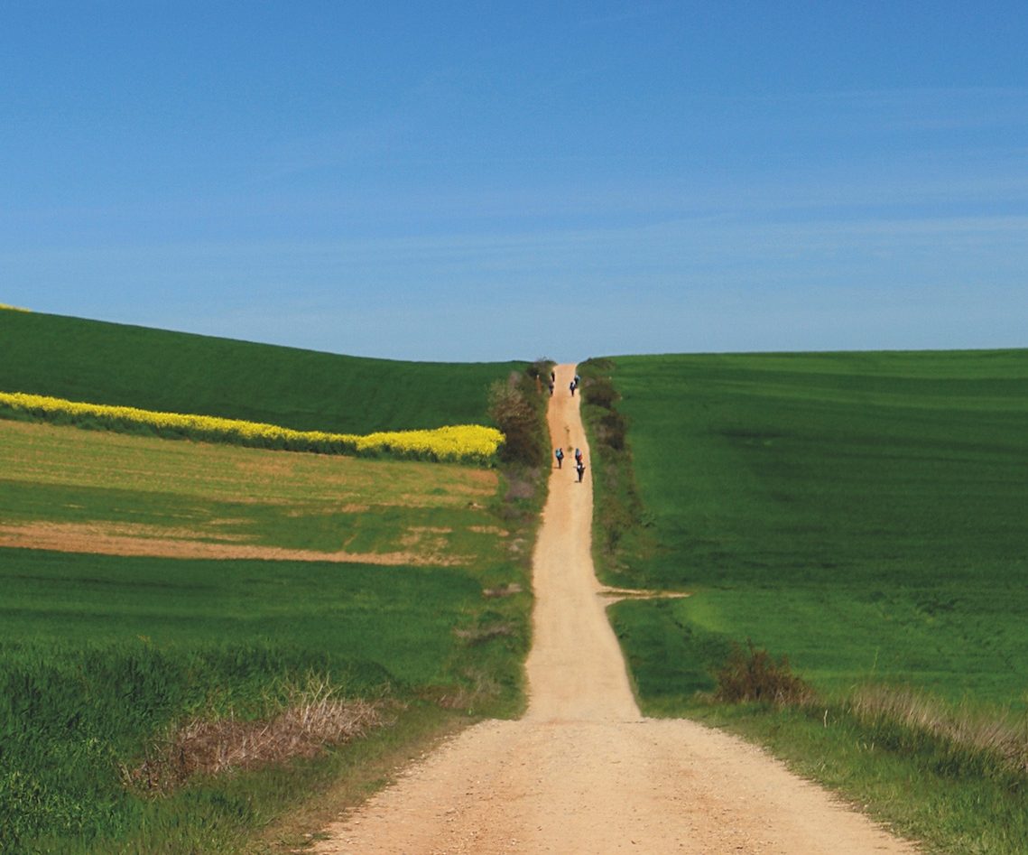 camino del santiago