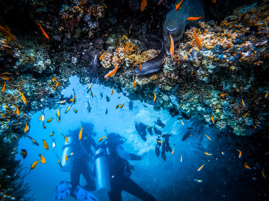 Scuba divers on a reef in Tenerife