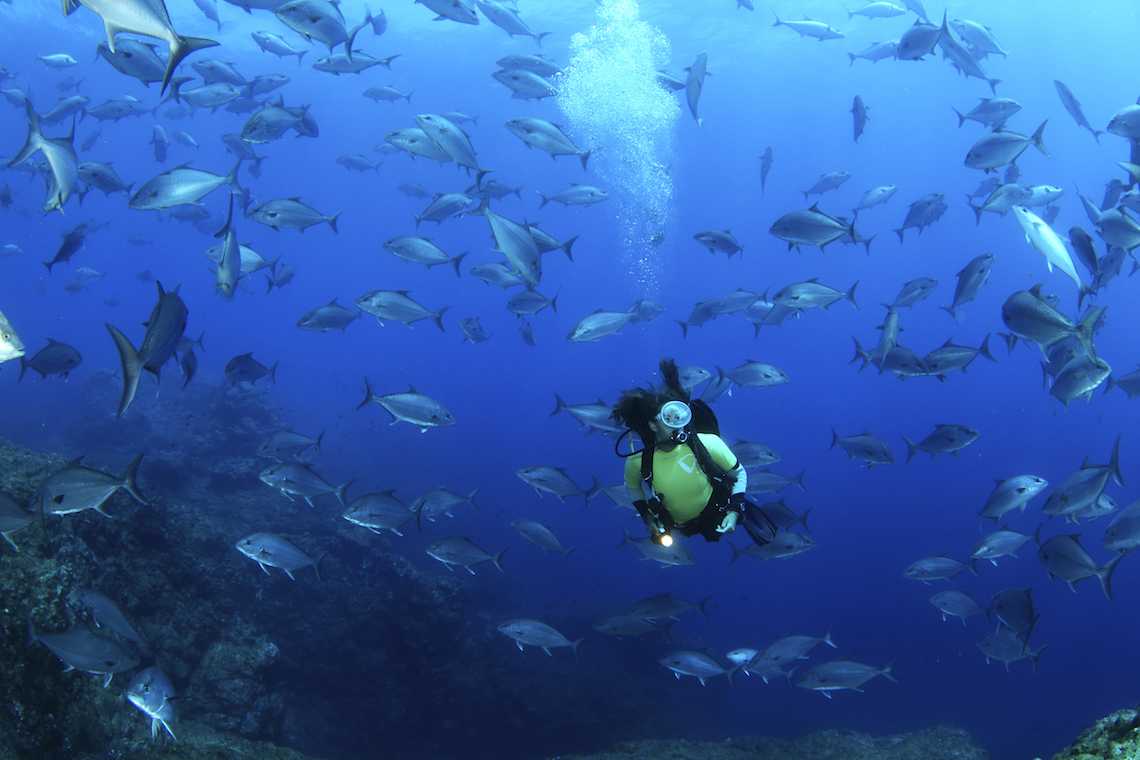 diving in the azores