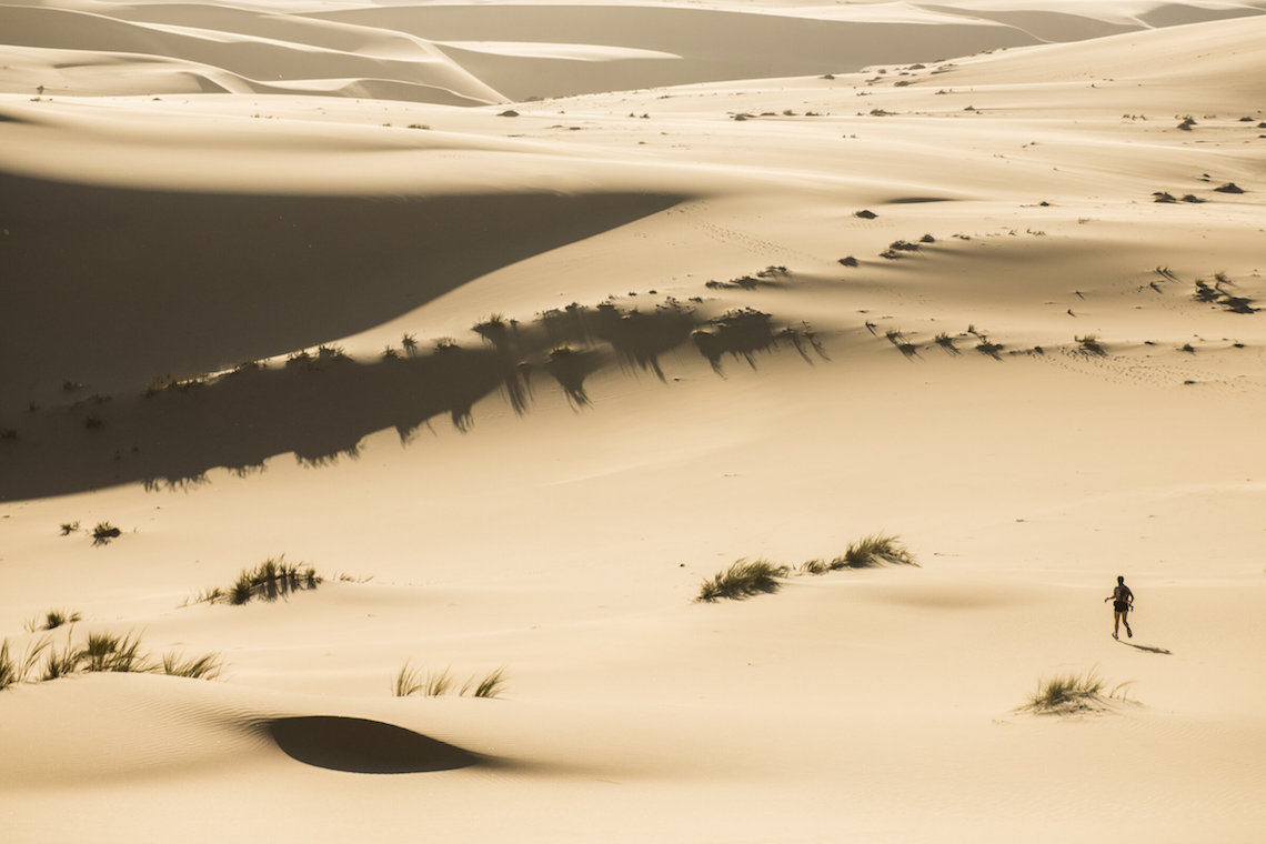 rat race namib desert