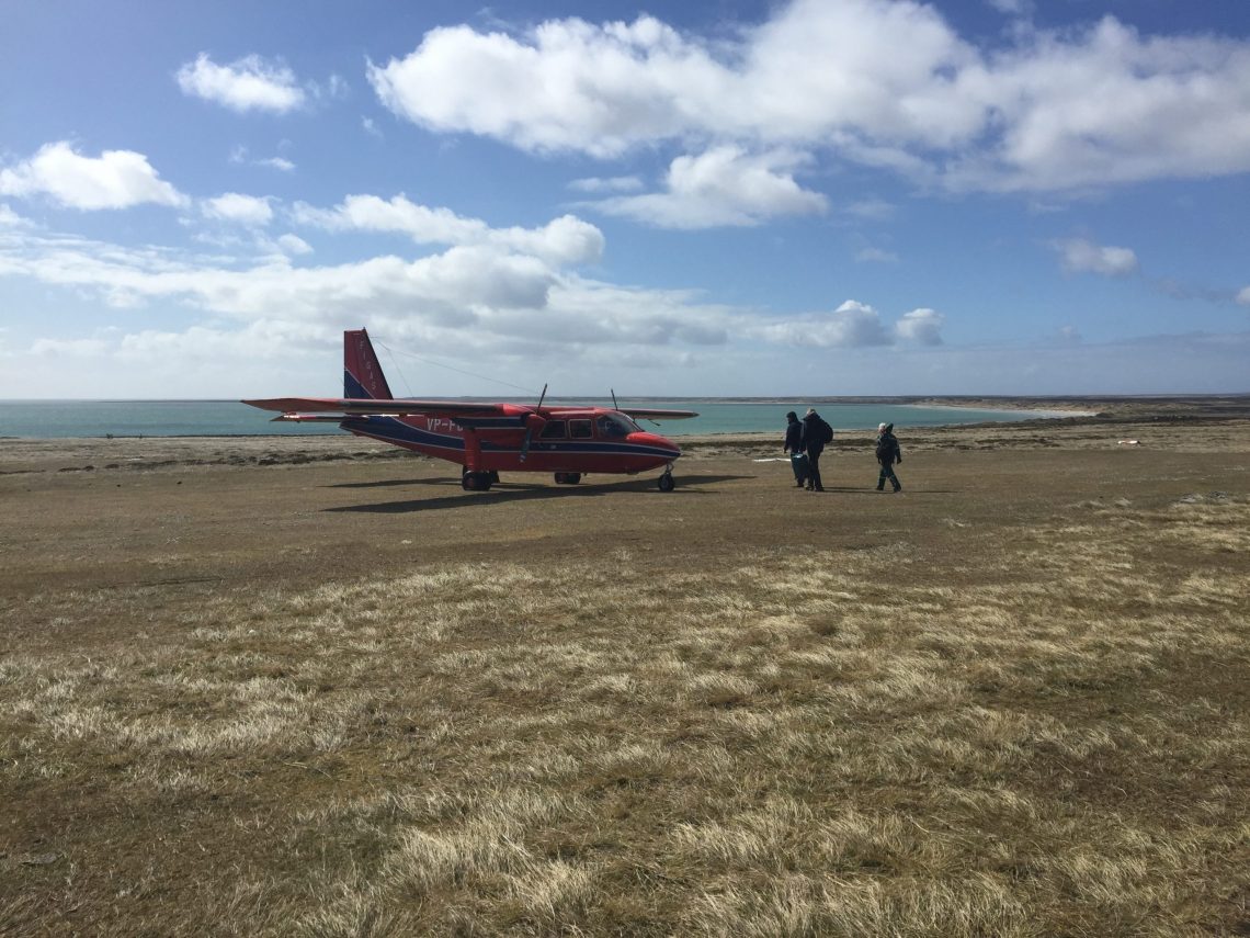 FIGAS plane Falklands