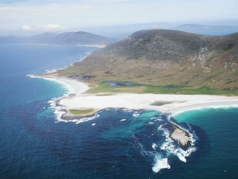 Saunders Islands visit the Falklands