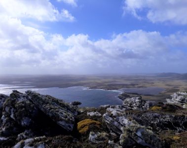 Falklands-Sandbar-Island