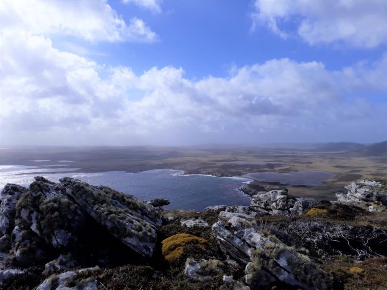 Falklands-Sandbar-Island