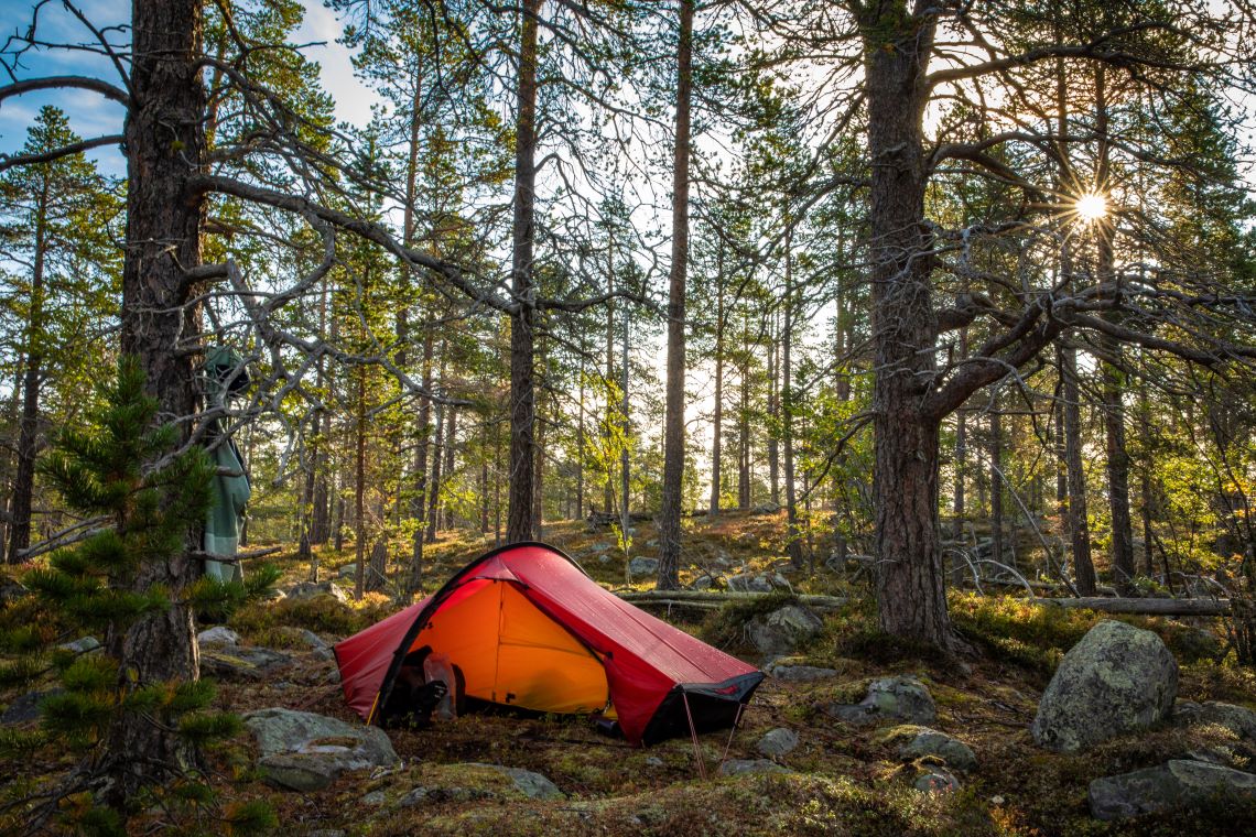 Scandinavia-forest-camping