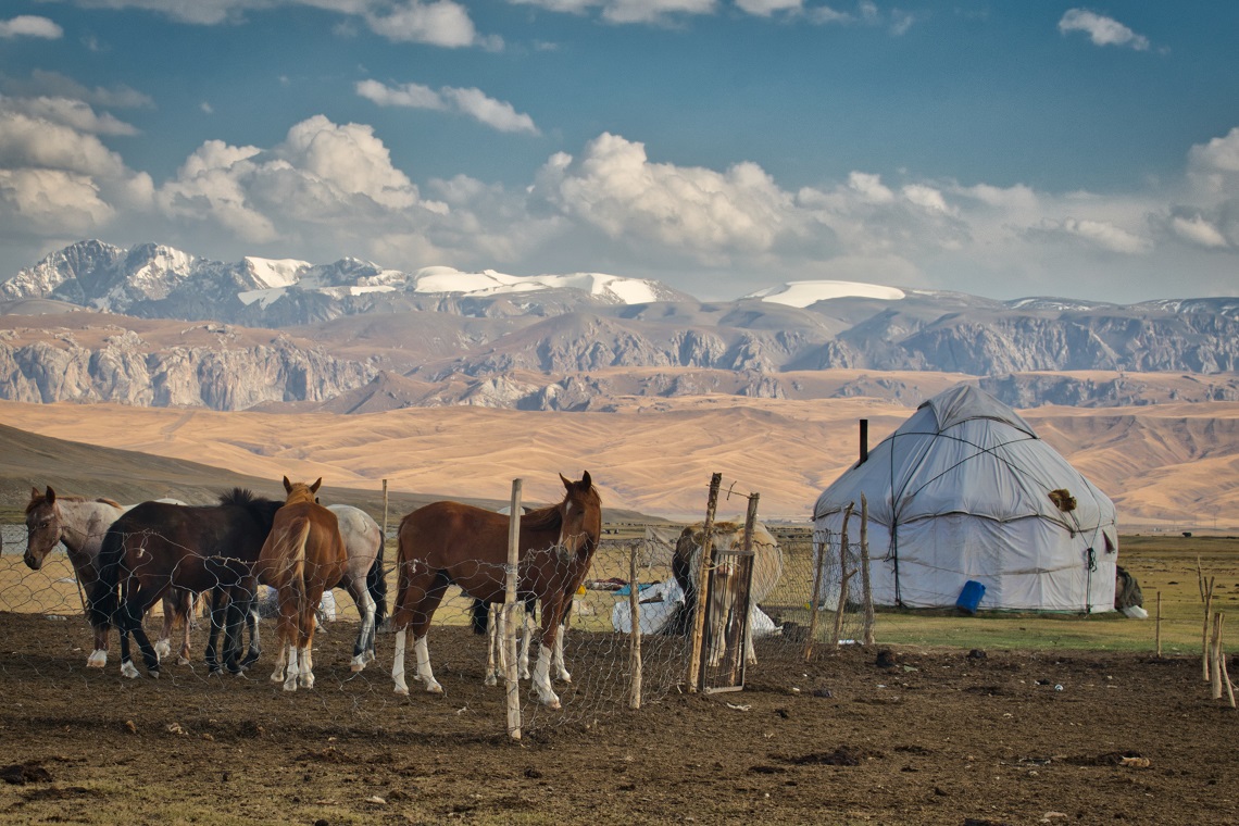 11 - Yurt and horses