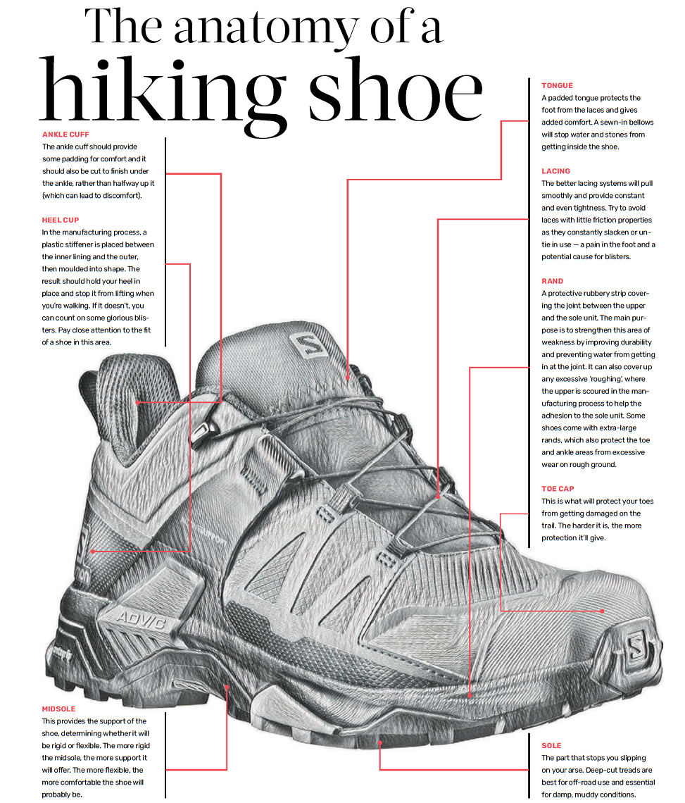 AnatomyofHikingShoes