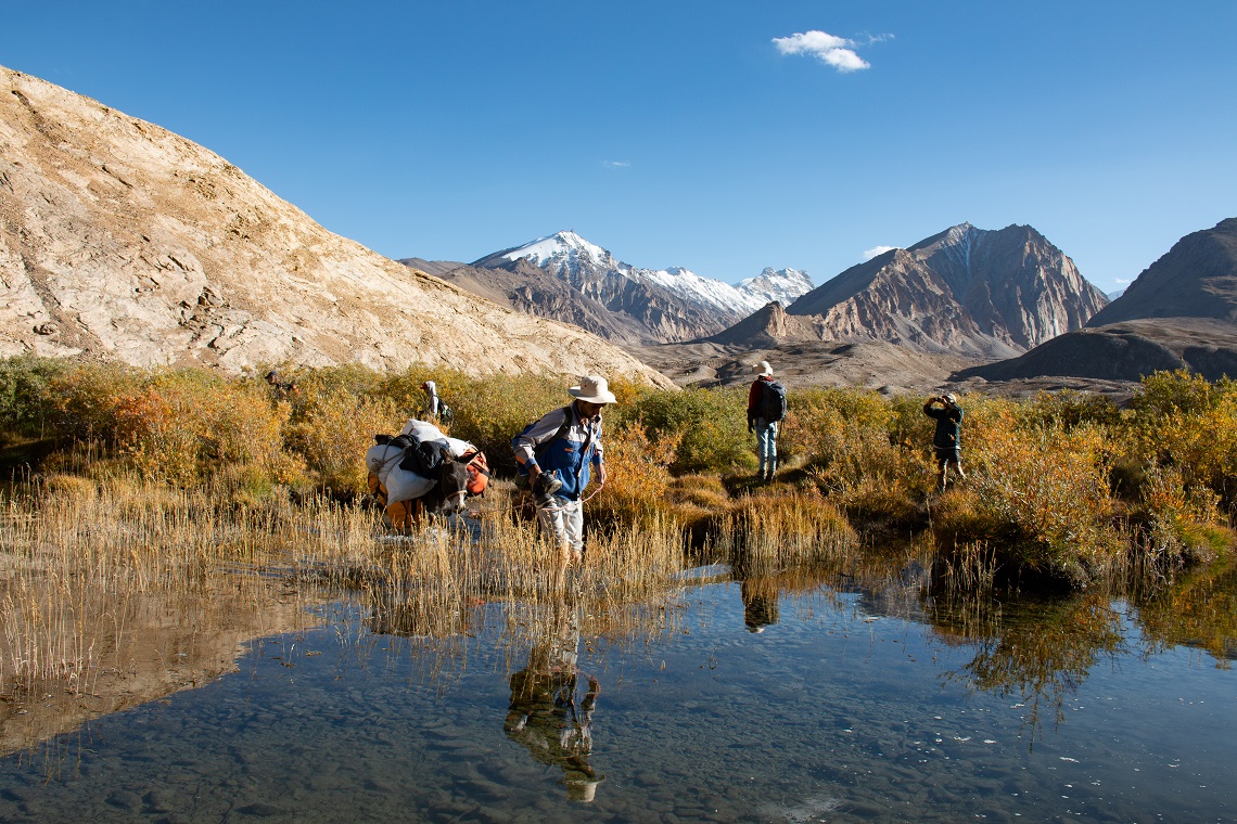 Pack animals make freezing river crossings easier