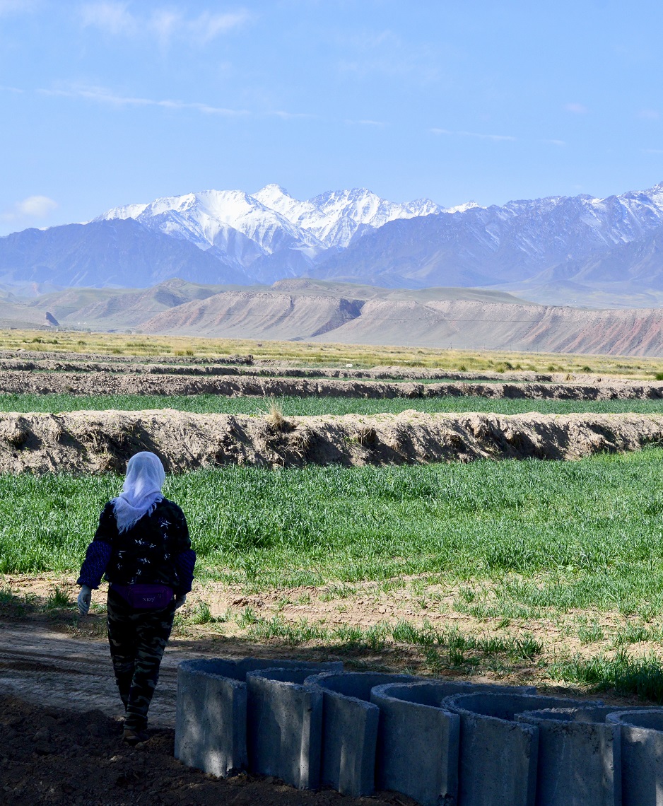 Qinghai-Tibetan plateau