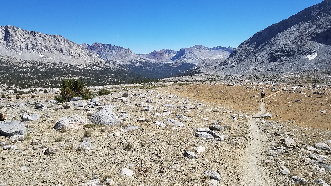 10. Upper Basin South of Mather Pass