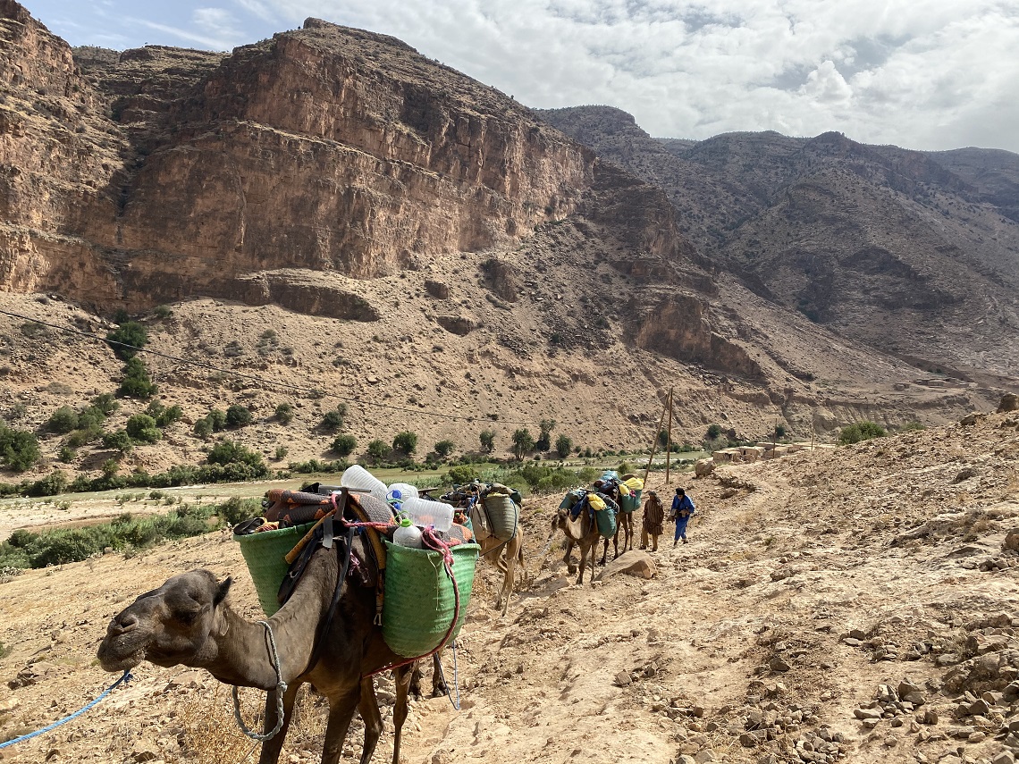 Camels certainly beat carrying your own backpack