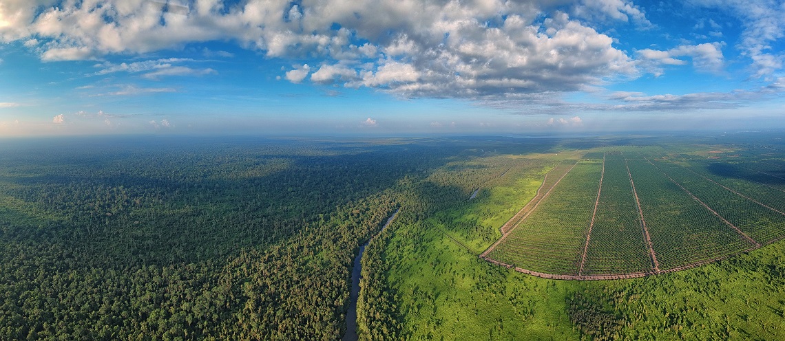 A view from above shows the true extent of the destruction