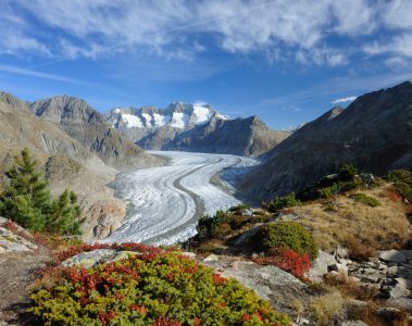 Visit the Aletsch Glacier today