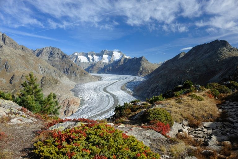 Visit the Aletsch Glacier today