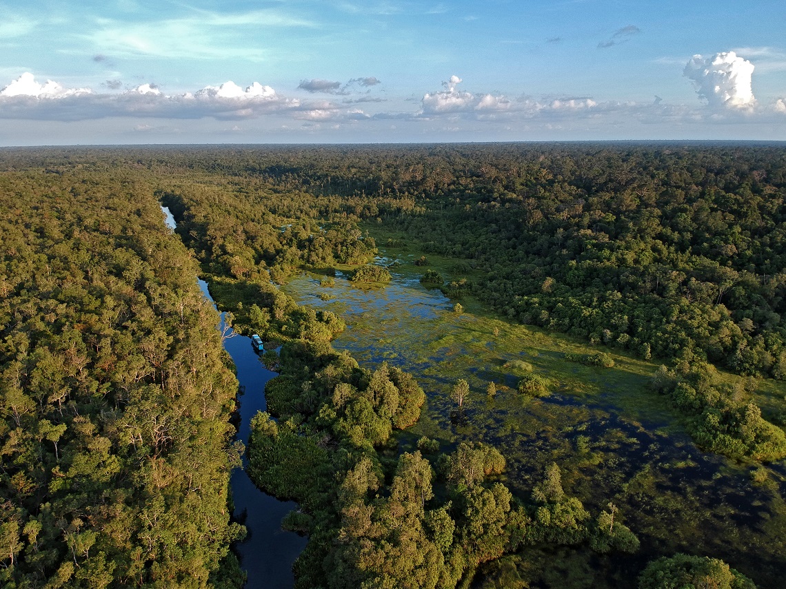 Borneo