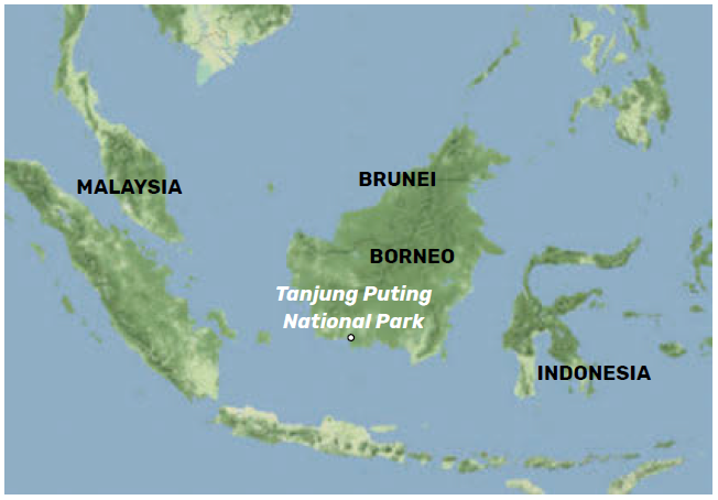 BorneoLocationMap