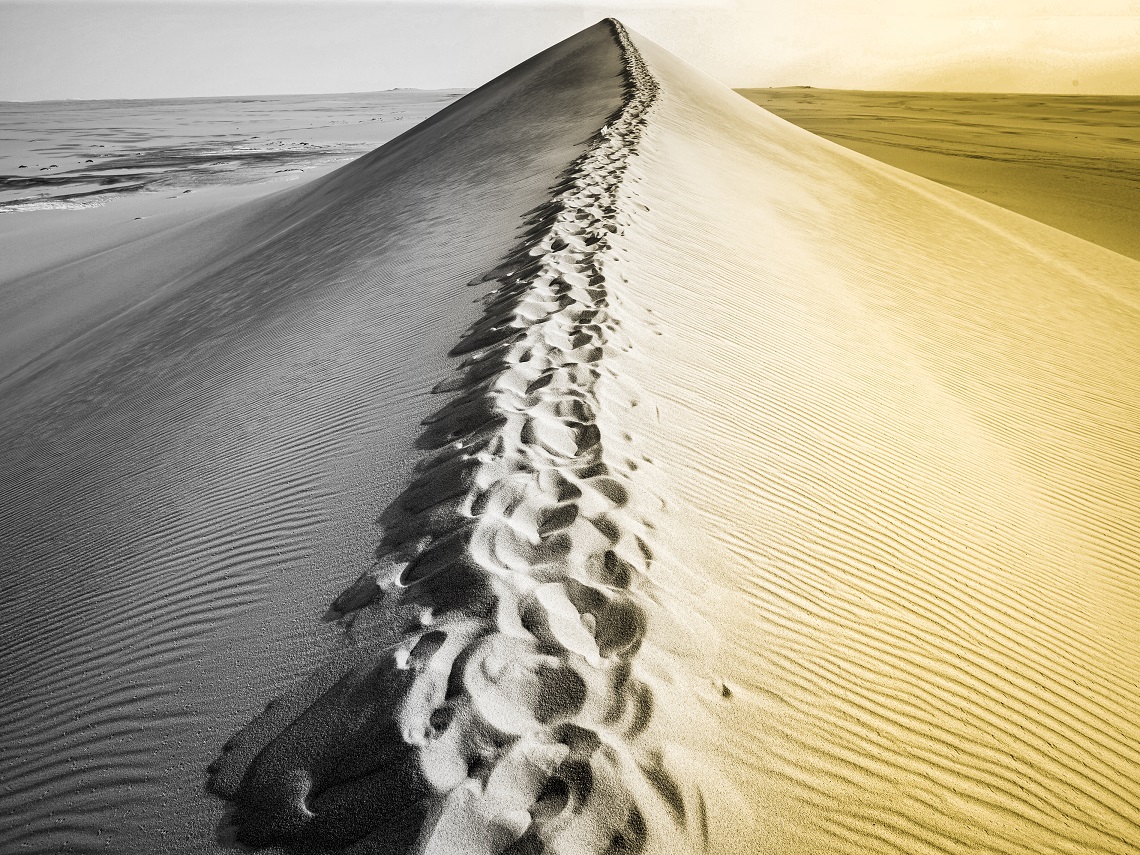 Healing in the Sahara image