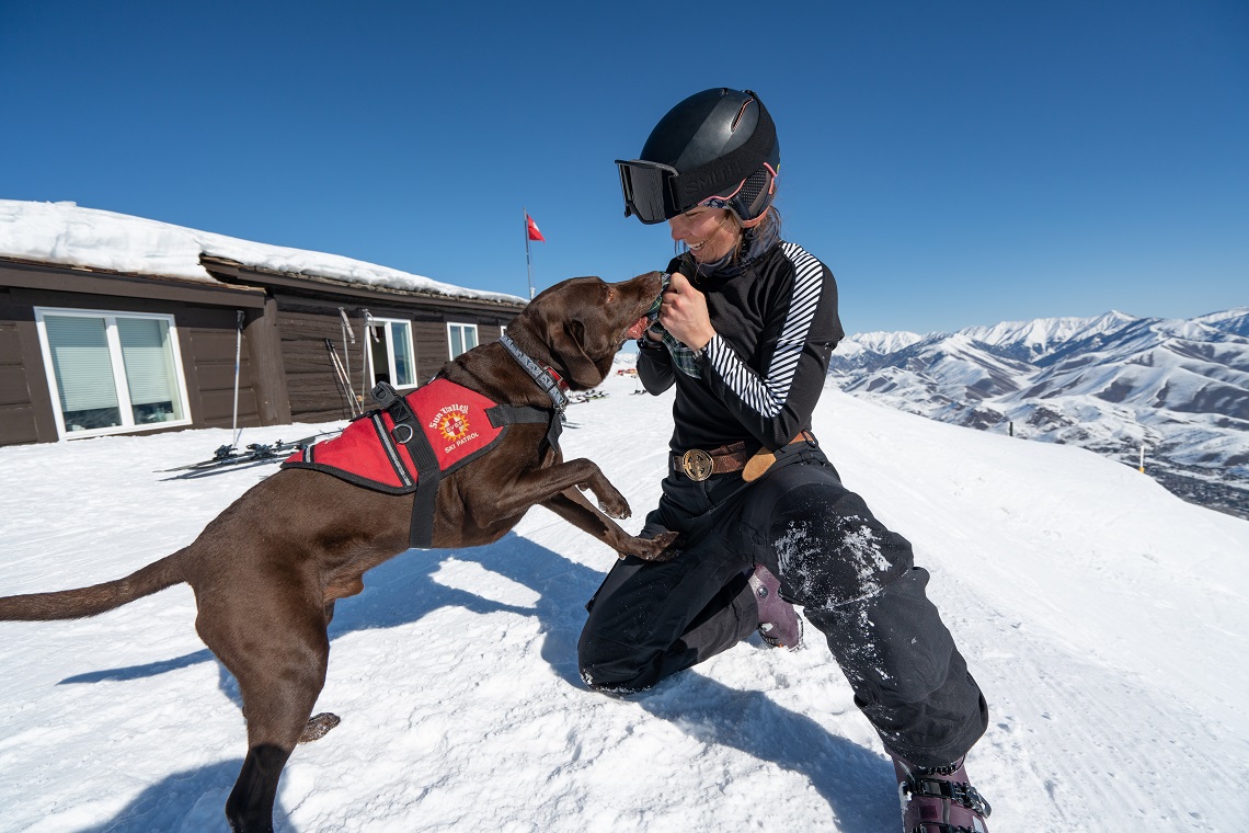 team-building with canine members 2