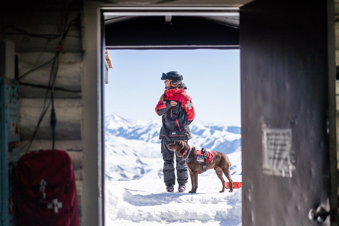 team-building with canine members