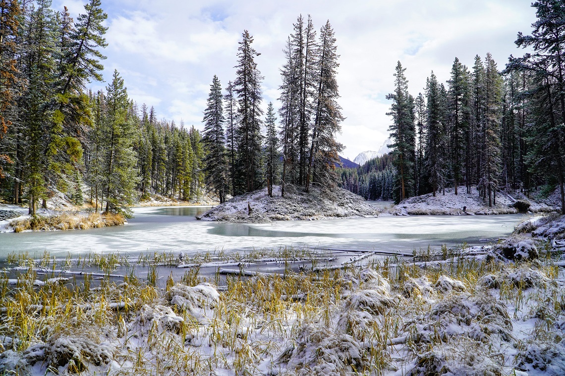 The beauty of winter in Jasper National Park