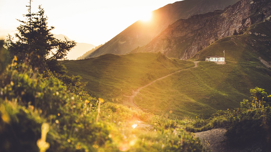 Col de cou