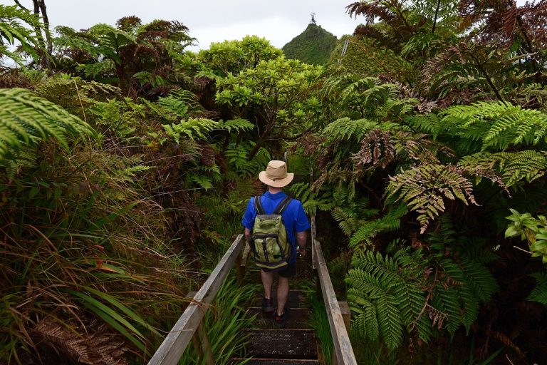 Peaks National Park