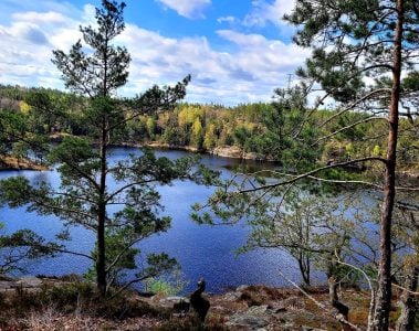 go on a swedish adventure