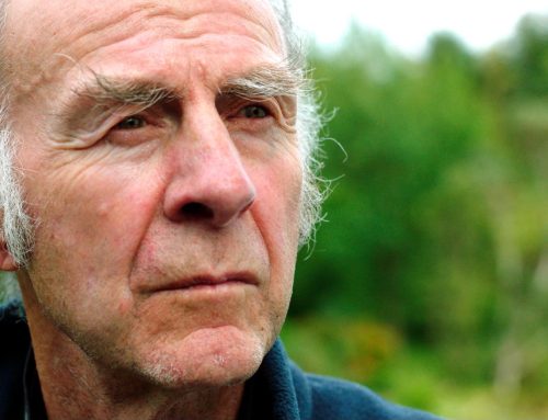 Ranulph Fiennes, Explorer: An inside view