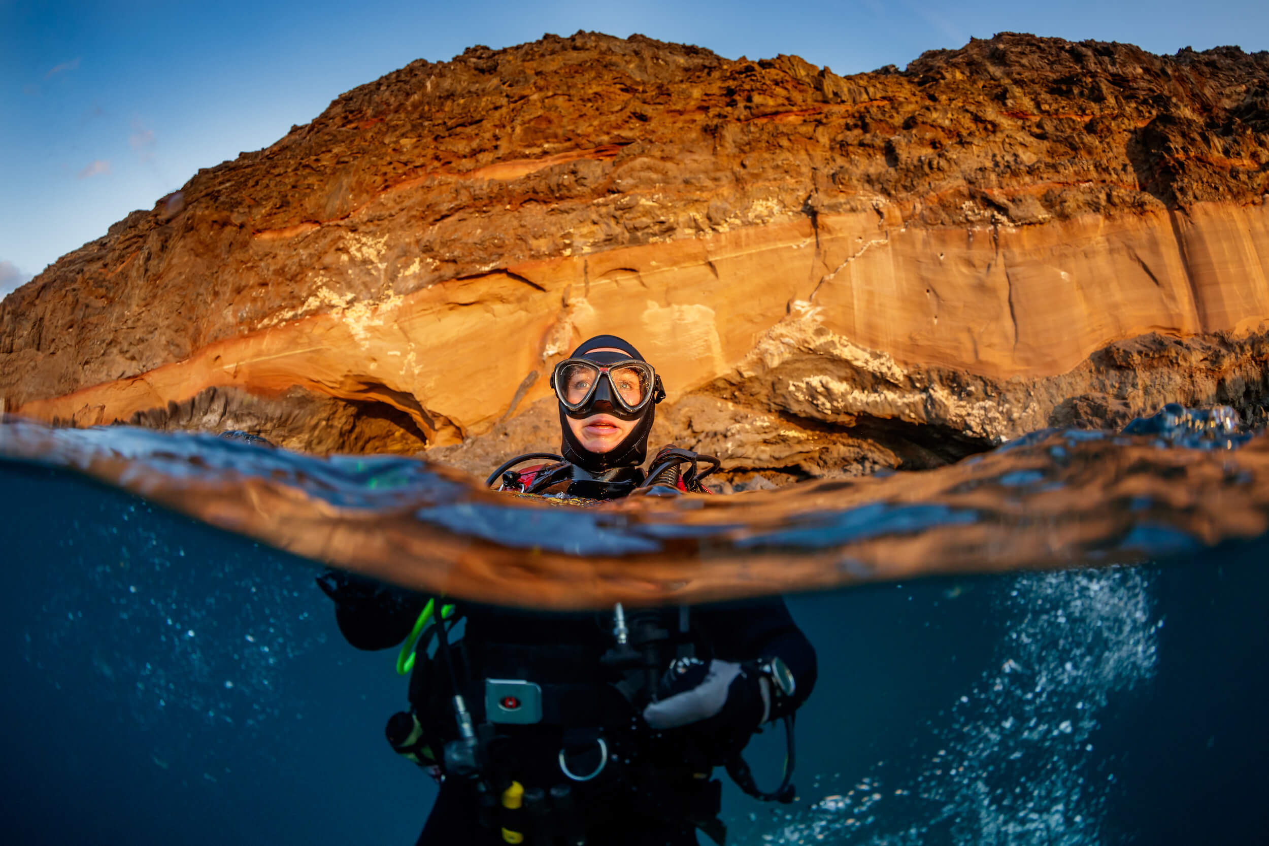 meet st helena's underwater giants