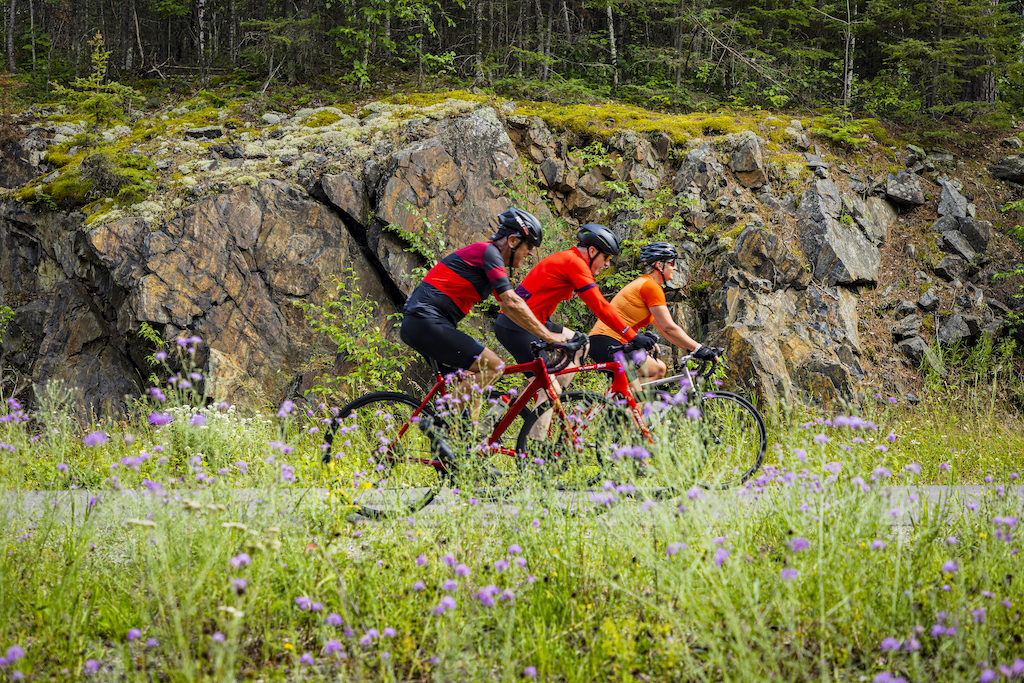 Bikes on trail